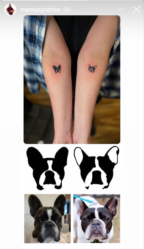 Frenchie Line Tattoo, Boston Terrier Ear Tattoo, Small Boston Terrier Tattoo, French Bulldog Tattoo Minimalist, Boston Terrier Tattoo Small Outline, Boston Terrier Fine Line Tattoo, Simple Boston Terrier Tattoo, Boston Terrier Line Tattoo, Frenchie Tattoos