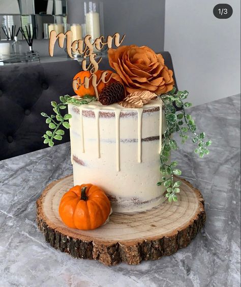 Fall Floral Cake, Friendsgiving Cake Ideas, Baby Shower Pumpkin Cake, Fall Gender Reveal Cake, Pumpkin Theme Cake, Fall Themed Birthday Cake, November Birthday Party Ideas, Pumpkin First Birthday Cake, Friendsgiving Cake