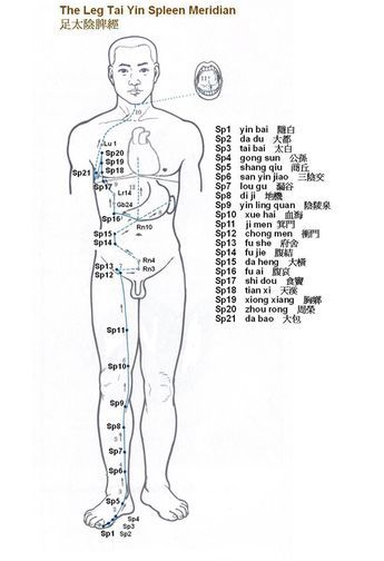 Spleen Meridian, Accupuncture Points, Acupressure Points Chart, Traditional Chinese Medicine Acupuncture, Meridian Acupuncture, Acupuncture Points Chart, Tcm Traditional Chinese Medicine, Polarity Therapy, Reiki Principles