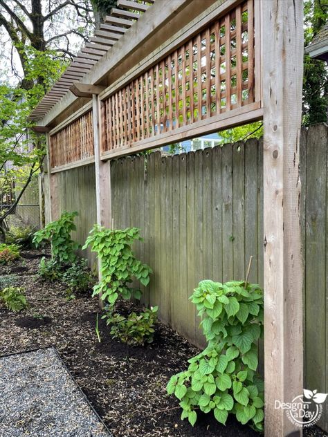 Arbor For Privacy, Backyard Privacy Arbor, Trellis Ideas For Privacy Pergolas, Trellis Ideas For Privacy Climbing Vines, Trellis In Front Of Fence, Privacy Trellis Along Fence, Climbing Hydrangea Trellis, Make Fence Taller, Lattice With Plants