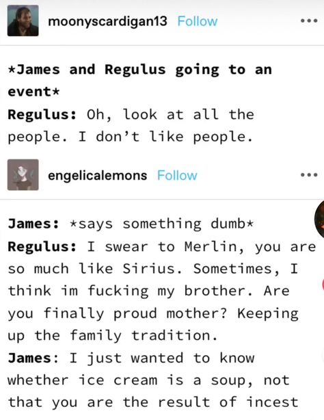 Jegulus Fanart Quidditch, Jegulily Headcanons, Sunseeker Fanart, Starchaser Fanart, Jegulus Headcanons, Jegulus Fanart, Harry Potter Texts, Slytherin Skittles, Funny Harry Potter Jokes