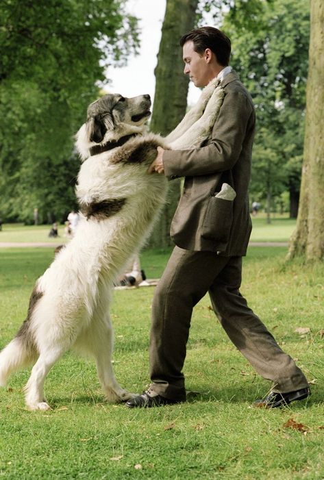 I love Finding Neverland..dancing with the dog, imagining a bear in circus Finding Neverland, The Grass, Johnny Depp, A Man, White, Black