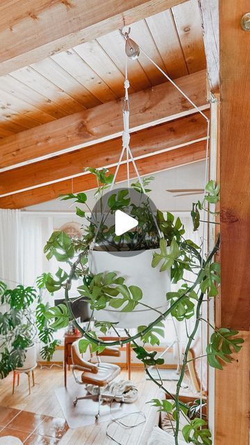 Bar To Hang Plants, Ceiling Mounted Plant Hanger, Pulley Plant Hanger Diy, Hanging Plants From Vaulted Ceilings, Plant Pulley System Diy, Retractable Plant Hanger, Pulley System For Plants, Plant Pulley System, Ceiling Plant Hanger