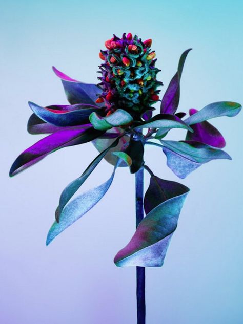 Electric Blossom & Hot House Color Series – Fubiz Media Otherworldly Tattoo, Futuristic Plants, Futuristic Flowers, Futuristic Nature, Strange Plants, Hot House, Floral Textile, House Color, Futurism