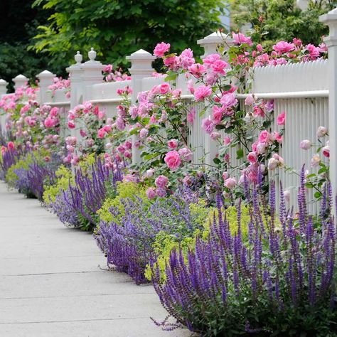 10 Flower Border Ideas and Designs | Family Handyman Border Ideas, Flower Bed, Driveway, Fence, Landscaping, Bed, Flowers, Design