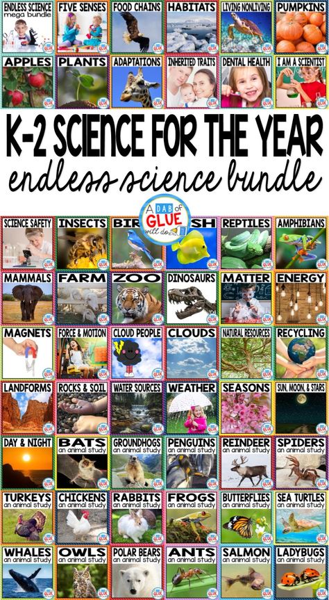 Engage your class in an exciting hands-on experience learning all about science! Endless Science Mega {Growing} Bundle is perfect for science in Preschool, Pre-K, Kindergarten, First Grade, and Second Grade classrooms and packed full of inviting science activities. Excite your learners with the study of Life Science, Physical Science, Earth Science, and Animal Studies. These studies are perfect for any time of the year. This is a GROWING SCIENCE BUNDLE that will have your students learning all a Science Safety, Science Unit Studies, Science Earth, Animal Studies, Second Grade Science, 1st Grade Science, First Grade Science, Science Lesson Plans, About Science