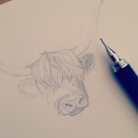 Highland Cow Tattoo, Cow Sketch, Stationary Collection, Highland Cow Painting, Canvas Art Painting Acrylic, Highland Cow Art, Cow Drawing, Cow Pictures, Highland Cows