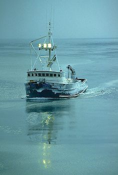 picture of Opilio Tanner Crab Fishing Fishing Alaska, Alaska Travel Cruise, Commercial Fishing, Deadliest Catch, Big Sea, Crab Fishing, Globe Travel, Fishing Vessel, Natural Resource