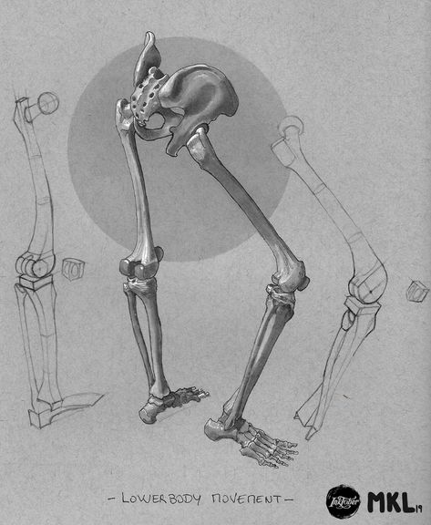 Lower Body Anatomy, Bones Drawing, Anatomy Of The Body, Bone Drawing, Drawing The Human Head, Human Skeleton Anatomy, Figure Drawing Practice, Human Anatomy For Artists, Body Bones