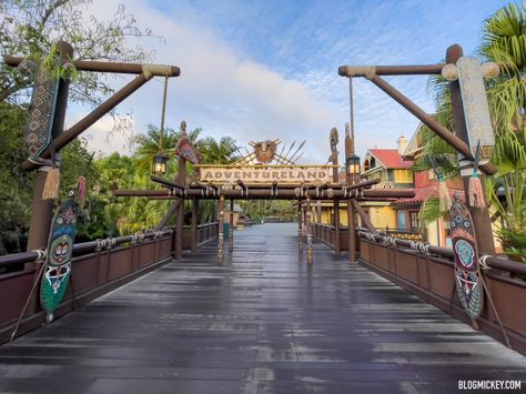 Adventureland Aesthetic, Disney Adventureland, Park Ideas, Disney World Magic Kingdom, Disney World Parks, Disney Photos, Magic Kingdom, World News, Daily News