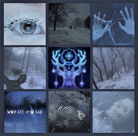 if you guess it correctly you are my friend now Snow Leopard Color Palette, Oc Moodboard Aesthetic, Adopt Idea, Characters Inspiration Drawing, Wings Of Fire, Mood Board Inspiration, Printable Scrapbook Paper, Fantasy Aesthetic, Mood Board Design