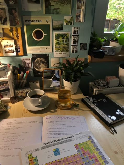 ig @its.alllieee | #aesthetic #study #chemistry #studying #autumn #coffee #greentea #roominspo #kpop Scientist Room Aesthetic, Chemistry Academia, Studying Chemistry Aesthetic, Chemist Aesthetic, Romanticing School, Bio Chemistry, Chemistry Jobs, Chemistry Aesthetic, Studying Science