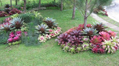 Philippine Gardener: Gardens at Crosswinds, Tagaytay - Makeover as an Exhibit Modern Front Garden, Backyard Garden Design Ideas, Outdoor Garden Design, Garden Landscaping Ideas, Garden Tropical, Back Garden Design, Herbal Plants, Tagaytay, Garden Design Ideas