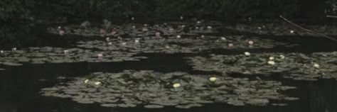 art lilypads water pond dark grunge fairycore aesthetic twitter header Dark Fairycore Widgets, Grunge Fairycore Widgets, Dark Green Aesthetic Long Widget, Dark Fairy Core Header, Dark Green Widgets Long, Green Long Widget Aesthetic, Dark Fairycore Header, Fairy Grunge Twitter Header, Grunge Long Widget