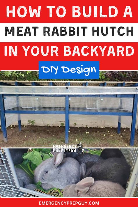 This image features a well-constructed blue and white rabbit hutch in a backyard setting, with one section showing rabbits feeding, illustrating how to build a meat rabbit hutch. Bunny Hutch Diy Outdoor, Meat Rabbits Housing, Diy Rabbit House, 2 Acre Homestead, Diy Rabbit Hutch Outdoor, Chicken Coops Ideas, Rabbit Hutch Outdoor, Rabbit Farming, Rabbit Hutch Plans