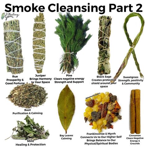 The Healing Gem | Crystal Shop on Instagram: “Do you love Smoke Cleansing? 🌿☀️ Here is Part 2 of the herbs you can use for smoke cleansing your space. Feel free to share other herbs you…” Smudge Sticks Diy, Ask The Dust, Smudging Prayer, Wicca Recipes, Herb Life, Witch Things, Magickal Herbs, Witch Herbs, Moon Water