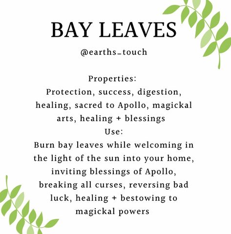 Bay Leaf Witchcraft Uses, Herbs Properties Witchcraft, Magical Properties Of Bay Leaves, Bay Leaves Uses Witchcraft, Basil Leaves Witchcraft, How To Use Bay Leaves In Spells, Grow Bay Leaves, Bay Leaf Magical Properties, Angelica Leaves Witchcraft