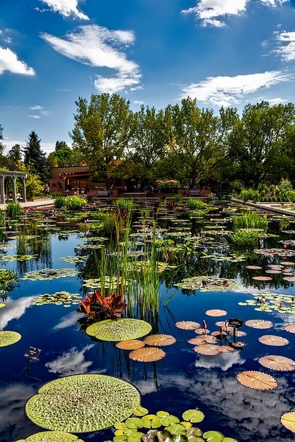 Best Colorado Destinations According to Your Interests Visit Denver, Denver Botanic Gardens, Shingle Colors, Garden Route, Better Homes And Garden, Botanic Gardens, Raised Beds, Botanical Garden, Botanical Gardens