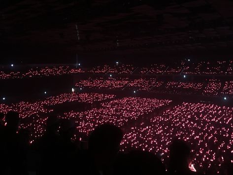 Coral Ocean Red Velvet Concert Ocean, Pfp Ocean, Kpop Ocean, Red Velvet Lightstick, Jimin Seulgi, Rainbow Ocean, Lightstick Ideas, Coral Ocean, Blackpink Merch