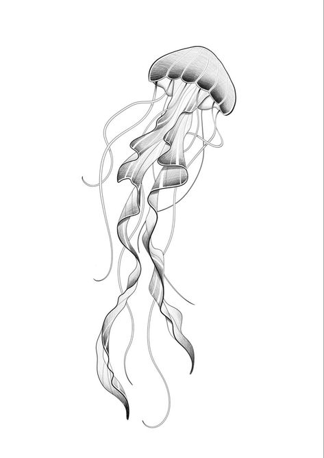 Medusa #tattoo #art #jellyfish #tattooed Creepy Jellyfish Tattoo, Phantom Jellyfish Tattoo, Jelly Fish Tattoo Stencil, Jellyfish Tattoo Stencil, Fine Line Jellyfish Tattoo, Medusa Tattoo Animal, Animal Tattoo Stencil, Jellyfish Tattoo Minimalist, Medusa Tattoo Stencil