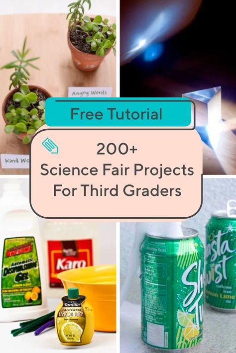 Get your third grader ready for the science fair with this great collection of activities! #thirdgrade #sciencefair #sciencefairproject #science #pintodaymaketomorrow #educationdotcom Third Grade Science Fair Projects Ideas, Engineering Science Fair Projects, 3rd Grade Science Fair Projects, Third Grade Science Experiments, Third Grade Science Lessons, Third Grade Science Projects, 3rd Grade Science Experiments, Third Grade Science Worksheets, 3rd Grade Science Projects