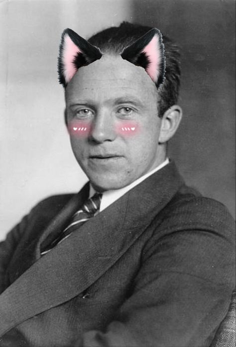 Werner Heisenberg, Walter White, Cat Ear, Try Not To Laugh, Cat Ears, Apartment, Memes, Pins, White