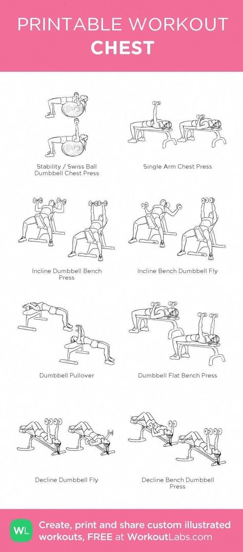 Chest Tricep Dumbell Workout, Chest And Back Workout Dumbell, Dumbbell Chest Workout For Women, Chest Day Workout At Home, Chest Dumbell Workout For Women, Chest And Tricep Workout At Home, Chest Day Women, Dumbell Chest Workout Women, Chest Day Workout Gym Women