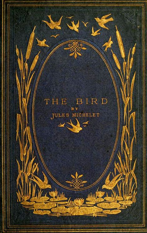 starrydiadems:The Bird by Jules Michelet (1869). Illustration Art Nouveau, Personaje Fantasy, Vintage Book Cover, 카드 디자인, Vintage Book Covers, Beautiful Book Covers, Book Cover Art, Old Book, Ex Libris