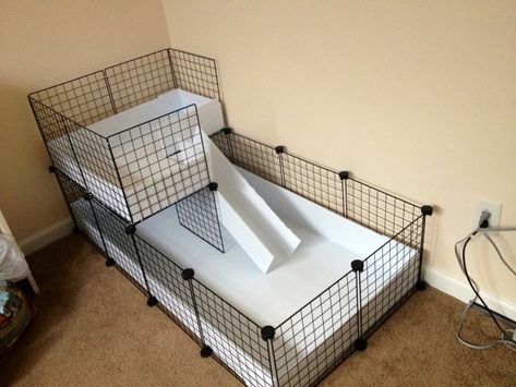 OMG!! Just made my 1st c&c cage!! C&c Cage Ideas, C And C Guinea Pig Cage, C C Cage Guinea Pigs Ideas, C&c Guinea Pig Cage Ideas, Indoor Guinea Pig Cage, Diy Guinea Pig Cage, Guinea Pig Cages, Loft Flooring, C&c Cage