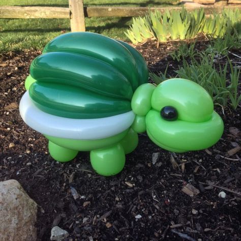 Clay Balloon, Turtles Pet, Balloon Figures, Cardboard Props, Ballon Art, Animal Balloons, Balloon Creations, 1 Balloon, Pet Turtle