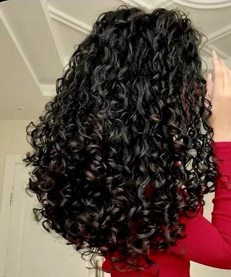 Curly Middle Eastern Hair, Healthy Curly Hair, Long Natural Curly Hair, 3b Hair, Beautiful Curly Hair, Hairdos For Curly Hair, Black Curly Hair, Haircuts For Medium Hair, Curly Hair Routine