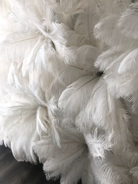 Our beautiful new giant feather backdrop perfect for weddings and events. Ostrich Feather Backdrop, How To Make A Feather Wall Backdrop, White Feather Backdrop, Feather Photo Backdrop, Feather Wall Backdrop, Feather Backdrop, Ostrich Feather Decor, Modern Regency, Beauty Suite