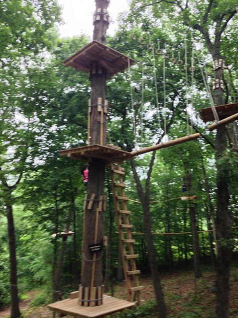 High Rope course High Ropes Course Aesthetic, Ropes Course Aesthetic, Tree Rope, High Ropes, Camp America, High Ropes Course, Ropes Course, Adventure Park, Tree Tops