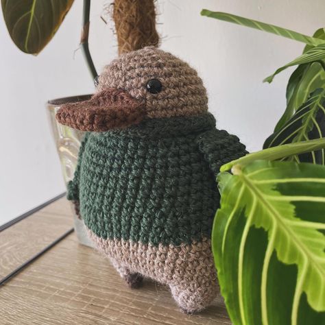 [CLOSED] ✨ TEST CALL ✨ It’s time for Paxton to have his test call! I’m looking for 4 testers from instagram and 2 testers from Patreon to make this chunky platypus guy 🤎. If you’re interested please read below: To apply: 🍂Follow my account and like this post 🍂Share this post to your stories and tag me so I don’t miss it! 🍂Comment and tag someone you think would like this sweet platypus! What colour would you use for his sweater? Requirements: 🤍 Have a public instagram account to post ... Progress Photos, Crochet Design Pattern, Platypus, Crochet Design, Appreciation Post, Worsted Weight Yarn, Worsted Weight, From Instagram, My Account