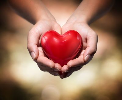 Where To Donate This Holiday Season: http://www.wheelsforwishes.org/news/holiday-giving-guide/  #giftgiving Penyakit Jantung, World Heart Day, Heart Healthy Diet, Fundraising Tips, Protect Your Heart, Blood Donor, Hari Valentine, Hands Holding, Heart Day