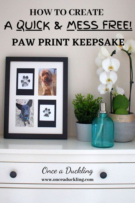 Diy Paw Print, Dog Paw Print Craft, Paw Print Keepsake, Paw Print Crafts, Understand Me, Easy Pets, Pet Paw Print, Budget Crafts, Products Ideas