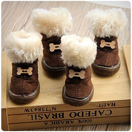 Colorfulhouse Cute Bone Pet Snow Boots Dog Winter Boots, Dog Snow Boots, Snow Puppy, Dachshund Colors, Puppy Shoes, Poodle Toy, Dogs Grooming, Warm Snow Boots, Dog Boots