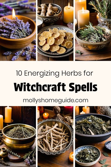 Explore the power of herbs in witchcraft with these magical options. Use herbs for energy, protection, and psychic defense in your herbal rituals. Discover the Witchy basics of plants with kitchen witchery practices and incorporate smokable herbs into your spiritual practice. Learn about herbs to prevent burnout and enhance your energy levels. Delve into the world of magical herbs and their uses for women's empowerment and spiritual growth. Embrace the enchanting nature of herbal magic to elevat Herbs For Creativity, Witchy Basics, Herbs In Witchcraft, Justice Spells, Creativity Spell, Herbs For Witchcraft, Energy Witchcraft, Spell Herbs, Smokable Herbs