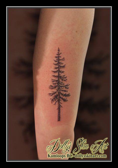 Hayley's fir tree - Dolly's Skin Art Tattoo Kamloops BC Pine Tree Tattoo Placement, Douglas Fir Tree Tattoo, Fir Tree Tattoos, Douglas Fir Tattoo, Cedar Tree Tattoo, Tree Tattoo Black, Kamloops Bc, Pine Tree Tattoo, Tattoo Aftercare