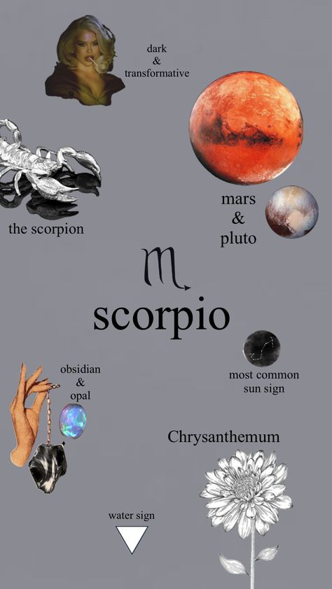 Pluto And Mars Scorpio Tattoo, Mars Scorpio Aesthetic, Scorpio Username Ideas, Scorpio Mars Aesthetic, Tattoo Scorpion Zodiac, Scorpio Sun Aesthetic, Scorpio Star Constellation Tattoo, Scorpio Zodiac Aesthetic, Scorpio Astrology Tattoo