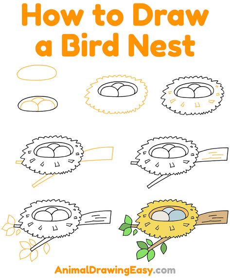 How to Draw a Bird Nest Step by Step #BirdNest #BirdNestDrawing #StepbyStepBirdNestDrawing #HowtoDrawaBirdNest #EasterDrawing #EasterNest #Easter #HowtoSketchaNest #NestDrawing #BirdDrawing #HowtoDrawaBird Bird Nest Drawing, Nest Sketch, Drawing Theory, Nest Drawing, Bird Drawing For Kids, How To Draw Abs, Draw A Bird, Draw Birds, Peace Pole