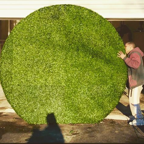 Grass Wall Photoshoot, Grass Wall And Balloon Backdrop, Circle Backdrop Ideas, Round Grass Backdrop, Grasswall Backdrop Birthday, Turf Photo Backdrop, Astroturf Backdrop, Grass Wall Backdrop, Ava Rae