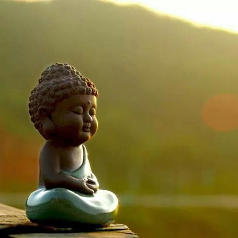 Enchanting ..... Image Zen, Small Buddha Statue, Vipassana Meditation, Baby Buddha, Buddha Garden, Art Buddha, Buddha Decor, Tiny Buddha, Little Buddha