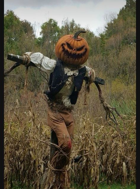 Halloween Bathroom Decorations, Halloween Pumpkin Painting Ideas, Ghost Paranormal, Halloween Pumpkin Painting, Make A Scarecrow, Halloween Bathroom Decor, Spooky Autumn, Days Until Halloween, Halloween Bathroom