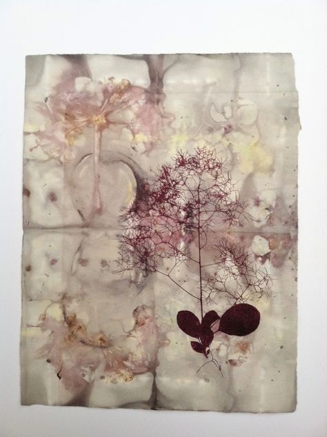 Contemporary Printmaking - "Pink Smoke Tree" (Original Art from Paula Zinsmeister) Collagraph Printmaking, Contemporary Printmaking, Botanical Theme, Art Theory, Flower Art Drawing, Phenomenal Woman, Collage Art Mixed Media, Eco Printing, Monoprint