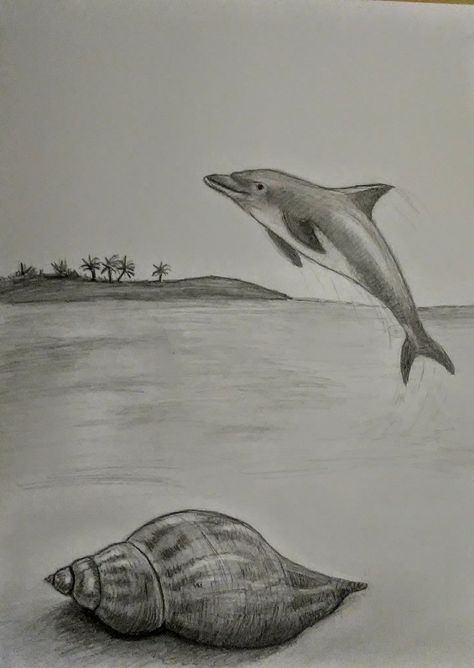 Drawing Ideas Dolphin, Dolphin Sketch Pencil, Dolphin Drawing Pencil, Sea Sketch Pencil, Ocean Drawing Pencil, Sea Drawing Pencil, Shell Drawing Pencil, Drawings Of Dolphins, Sea Pencil Drawing