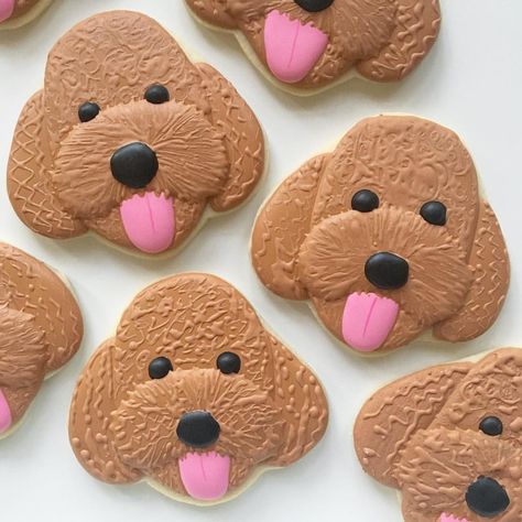 Sugar Fan Club on Instagram: “Oodles of goldendoodles 😍” Dog Sugar Cookies, Homemade Dog Cookies, Dog Biscuit Recipes, Dog Cakes, Dog Cookies, Fancy Cookies, Creative Cookies, Animal Cookies, Cookie Inspiration