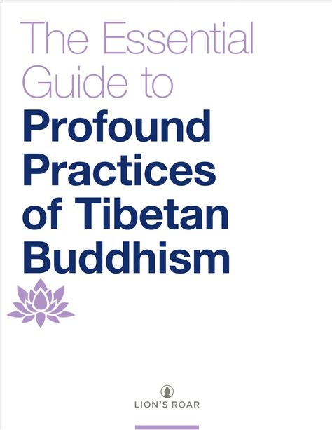 This collection of wisdom from nine great dharma teachers including Yongey Mingyur Rinpoche, Lama Tsultrim Allione, Willa Blythe Baker, and more, will offer you a glance into the transformative practices of the Tibetan Buddhist tradition. Mingyur Rinpoche, Buddhist Wisdom, Buddhist Practices, You Are The Greatest, Buddhist Traditions, Wisdom Books, Tibetan Buddhism, Tibetan Buddhist, Lucid Dreaming