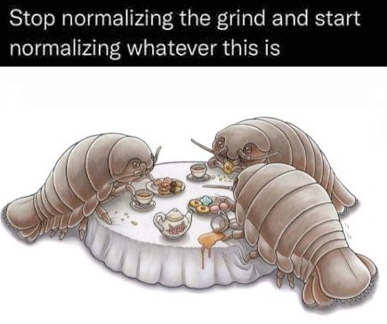 How does it feel to be living my dream Giant Isopod, Dart Frogs, Poison Dart, Cool Bugs, The Grind, Silly Images, Animal Species, Silly Animals, Bugs And Insects