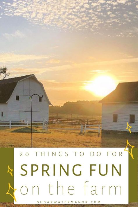 sugar water manor Farm Retreat Ideas, Family On A Farm, Farm Experience, Spring On The Farm, Fun On The Farm, Fun Facts For Kids, Farm Activities, Farm Fun, Spring Fun